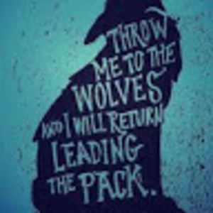 Meet your Posher, Wolfie